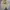 Gucci Vintage Hoody Pria cream photo 1