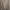 H&M Luxury Minimalist Sweater Wanita brown photo 2