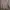 H&M Luxury Minimalist Sweater Wanita Brown