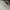 Made in USA Vintage Y2K T-shirt Pria cream photo 2