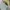 ZARA Vintage Streetwear T-shirt Pria white photo 2