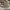 Minimalist Casual Sneakers Wanita white tan photo 4