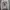 Minimalist Casual Sweater Pria gray photo 1