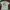 Made in USA Vintage Streetwear T-shirt Pria white photo 3
