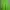 Minimalist Casual Sweater Pria Green