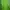 Minimalist Casual Sweater Pria green photo 2