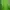 Minimalist Casual Sweater Pria Green