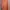 TATE Luxury Minimalist Sweater Pria Orange