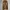 Vintage Y2K Jeans Pria brown photo 1