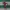 Gucci Vintage Casual Pria burgundy photo 1