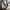 Converse Vintage Streetwear Sneakers Pria white gray photo 1