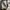 Converse Vintage Streetwear Sneakers Pria White Gray