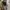 Converse Vintage Streetwear Sneakers Pria green black photo 1