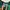 Adidas Casual T-shirt Pria green photo 3