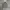 The North Face Sportswear Sweatshirt Pria gray photo 1