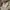 Japanese brand Vintage Casual Hat Pria cream photo 2