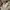 Japanese Brand Vintage Casual Hat Pria Cream