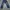 Jiniso Vintage Jeans Pria tan gray photo 1