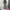 Streetwear Y2K Jeans Pria gray photo 2