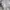 MLB Streetwear Sportswear Bomber jacket Pria white photo 4