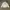 MLB Streetwear Sportswear Bomber jacket Pria white photo 2
