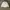 MLB Streetwear Sportswear Bomber jacket Pria white photo 1