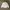 MLB Streetwear Sportswear Bomber Jacket Pria White