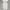 ZARA Streetwear Y2K Sweatpants & Joggers Pria gray photo 3