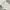 ZARA Streetwear Y2K Sweatpants & Joggers Pria gray photo 6