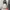 ZARA Streetwear Y2K Sweatpants & Joggers Pria gray photo 1