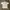 Sportswear Casual Jersey Pria white photo 2