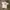 Sportswear Casual Jersey Pria white photo 3