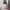 The North Face Streetwear Y2K Sweatpants & Joggers Pria gray photo 1