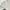 The North Face Streetwear Y2K Sweatpants & Joggers Pria gray photo 6