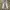 Vintage Y2K Short Pria gray photo 2
