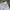 Vintage Y2K Short Pria white gray photo 6