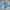 Converse Vintage Windbreaker Pria white blue photo 2