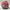 Sportswear Casual Hat Pria red photo 4