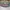 Vintage Streetwear Hat Pria gray photo 2