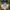 Vintage Streetwear Hat Pria gray photo 3