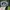 Vintage Streetwear Hat Pria gray photo 4