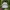 Vintage Streetwear Hat Pria White