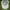 Vintage Streetwear Hat Pria white photo 3