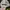 Vintage Streetwear Hat Pria white photo 5