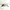Luxury Minimalist Sunglass Wanita gold black photo 5