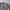 Vintage Y2K Formal shirt Pria white gray photo 2