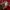 Evisu Casual Sweater Pria red photo 6