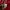 Evisu Casual Sweater Pria red photo 5