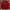 Evisu Casual Sweater Pria Red