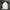 Dickies Casual T-shirt Pria White Black
